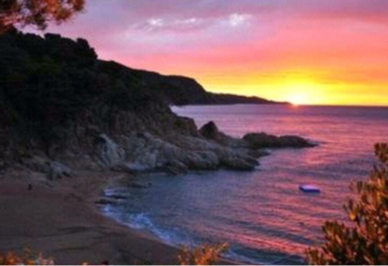 Cala Salions, Chalana I Daire Girona Dış mekan fotoğraf